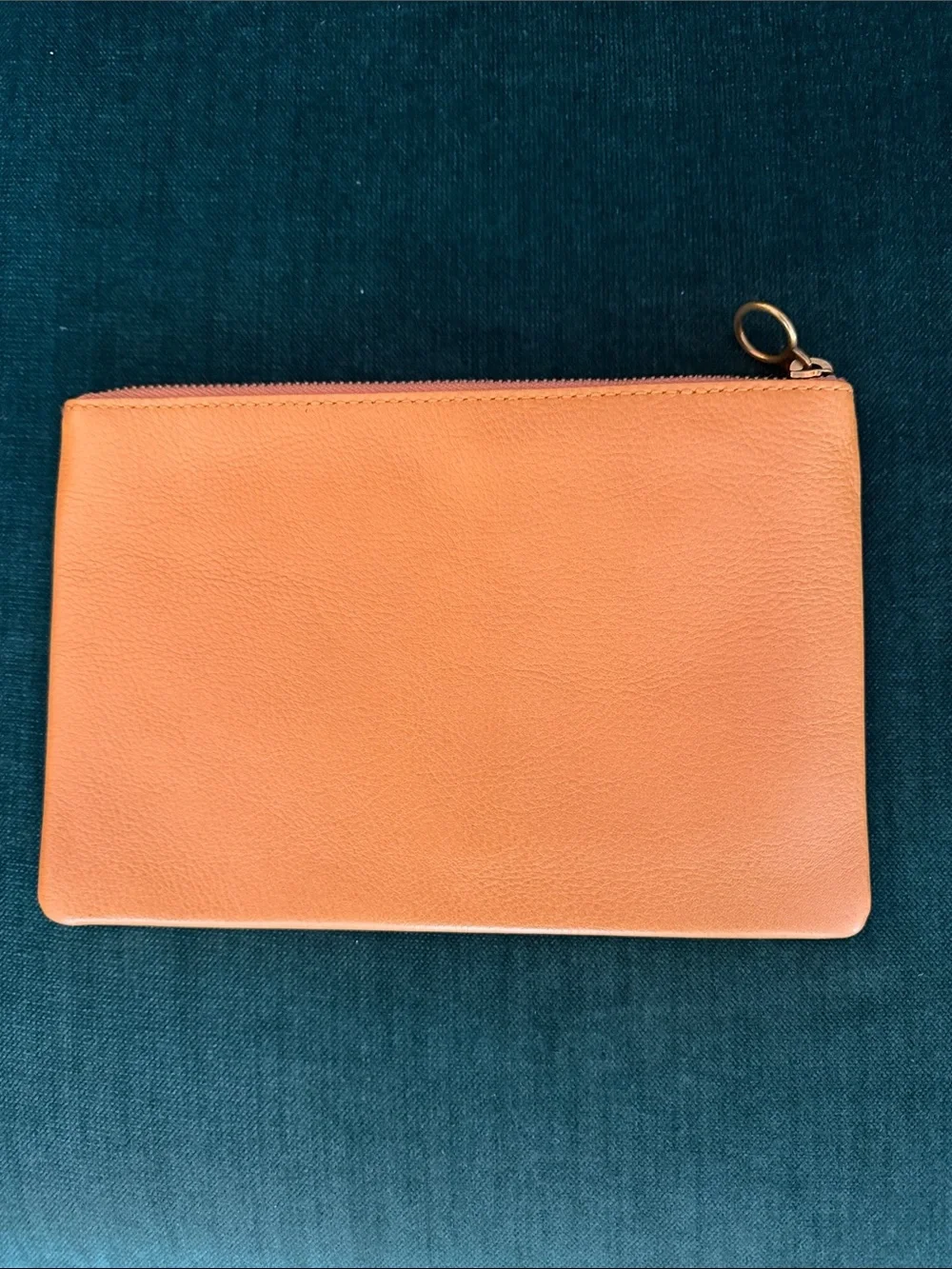 Madewell Saguaro Cactus Leather Clutch